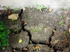 Why Soil Cracks Around Foundations Shouldn't Be Ignored